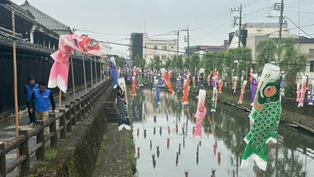 鯉のぼり撤去参加報告
